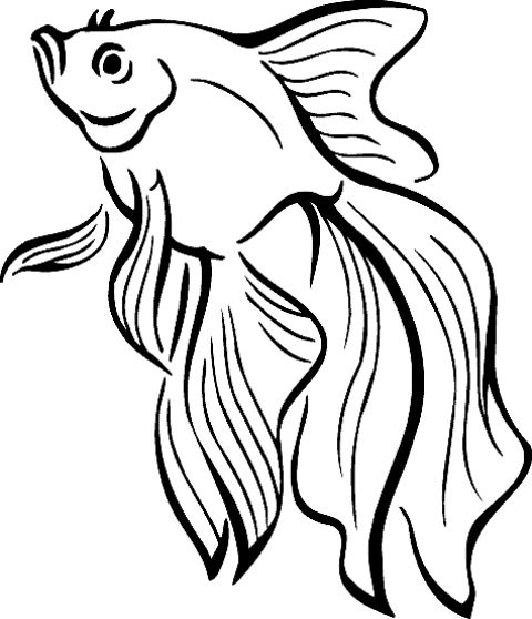 480x558 Drawing Wildlife And Pets Fish Coloring Page, Fish Drawings