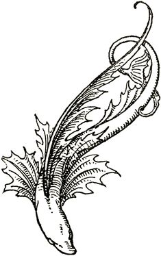 235x374 Best Fish Drawings Images In Fish Drawings, Draw, Drawings