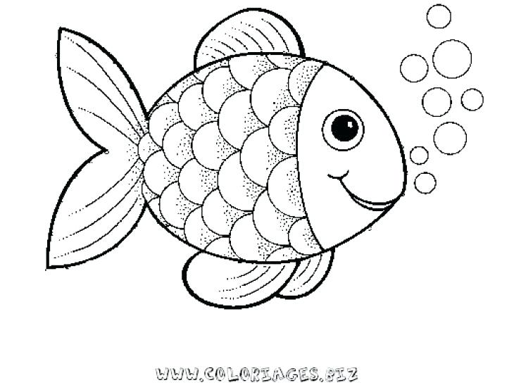 730x547 Fish Easy To Draw Fish Drawing Outline At Free For Fish Easy
