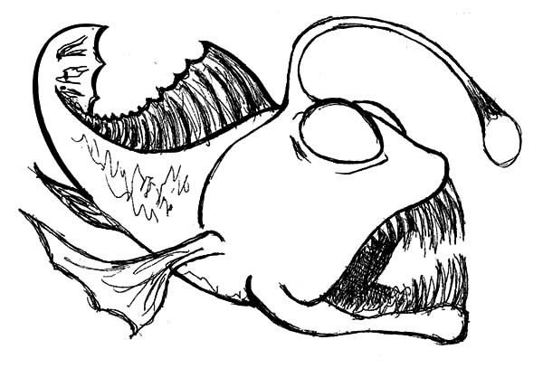 600x407 angler fish drawing casa sanmarino
