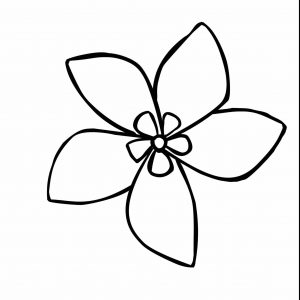 300x300 Cool Flower Drawings New Cool Flower Drawing At Getdrawings
