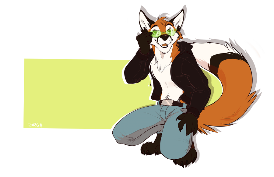 900x581 Fox Furry Wallpaper