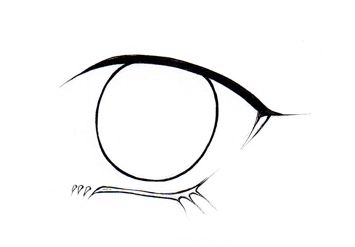 1242x864 Learn The Intricacies Of How To Draw Anime Eyes