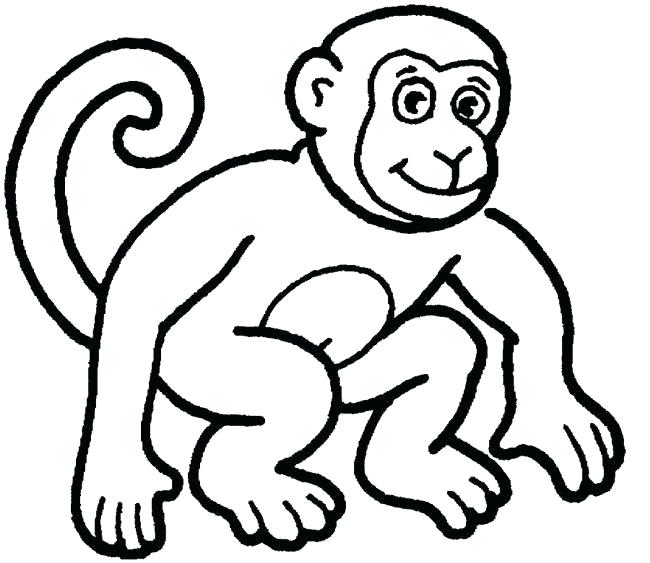 650x563 Cute Monkey Drawing Cute Monkey Drawings Cartoon