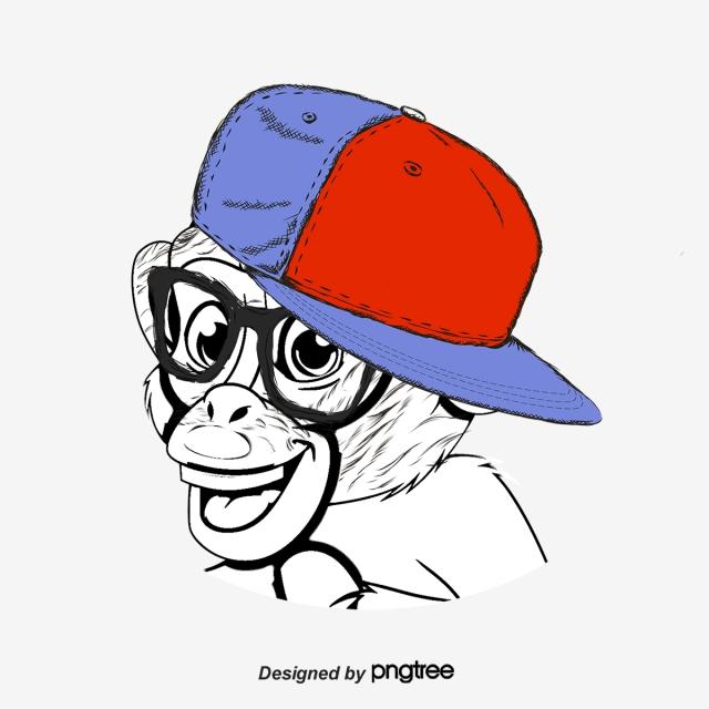640x640 Cool Monkey Drawings Html