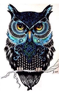 Cool Owl Drawings
