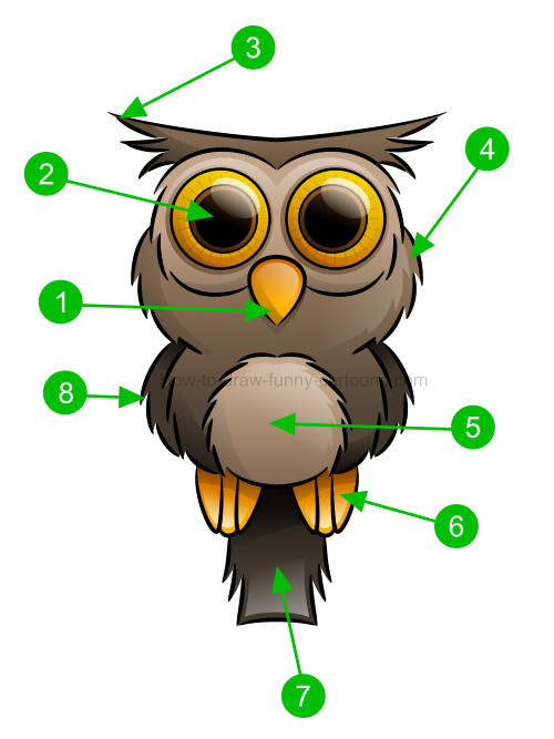500x667 How To Draw An Owl Clip Art