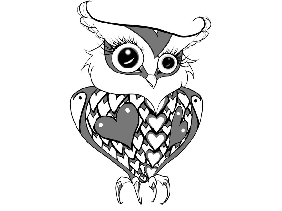 900x675 Cool Owls To Draw