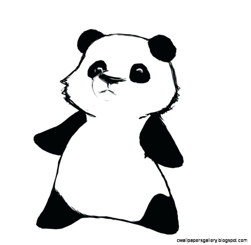 822x804 How To Draw Baby Pandas Baby Panda Coloring Pages Cute Baby Panda