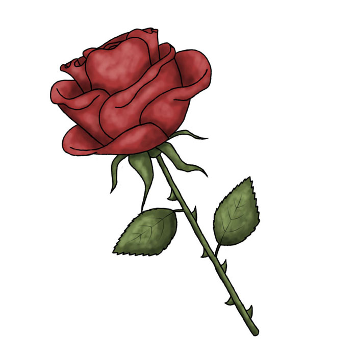 700x700 Red Rose Clipart Cool