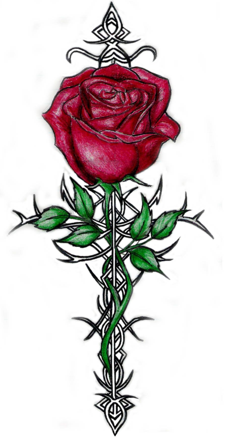 Cool Rose Drawings | Free download on ClipArtMag
