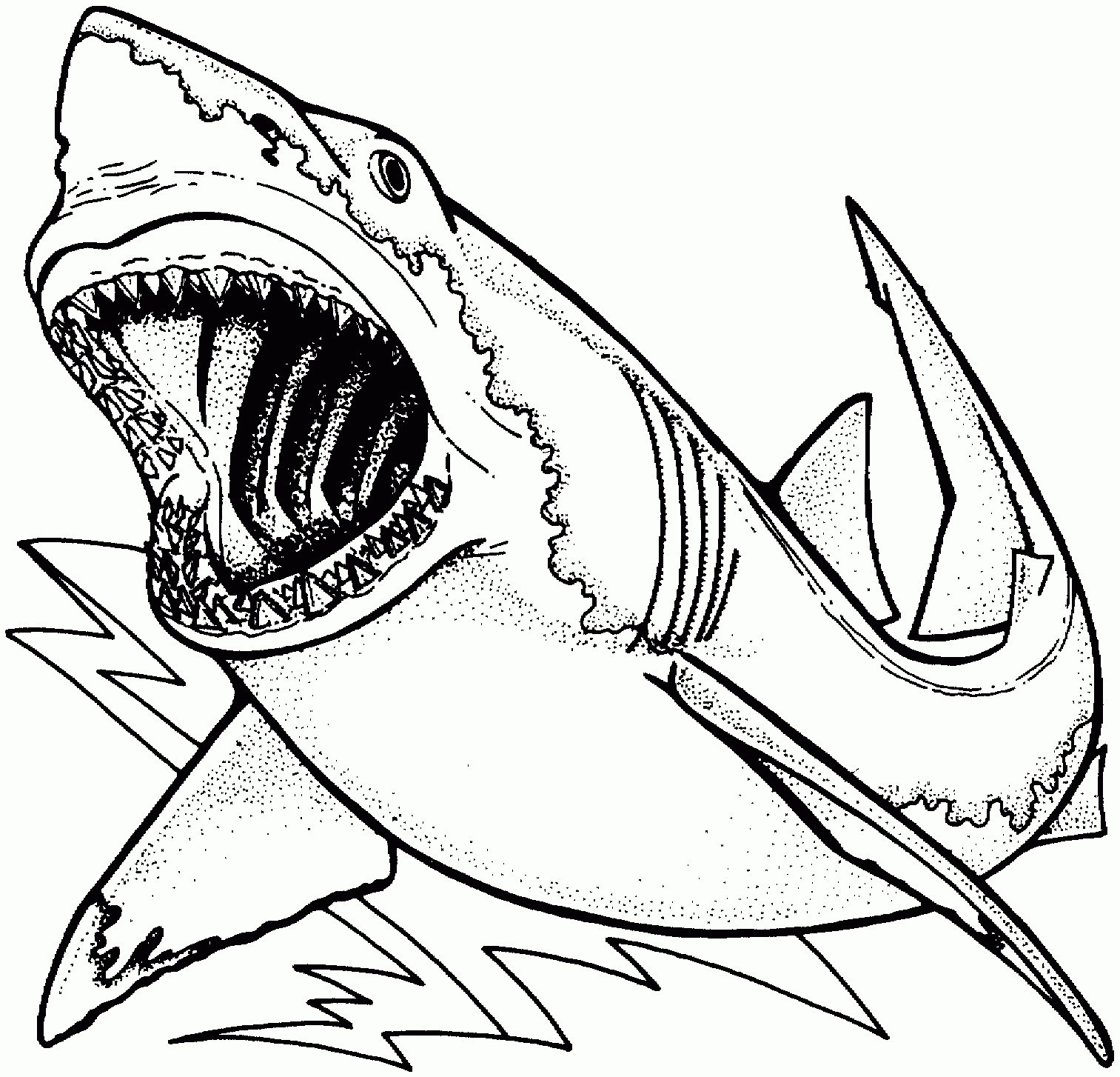1513x1454 How To Draw A Shark For Kids Glitter Cute Shark Coloring Pages