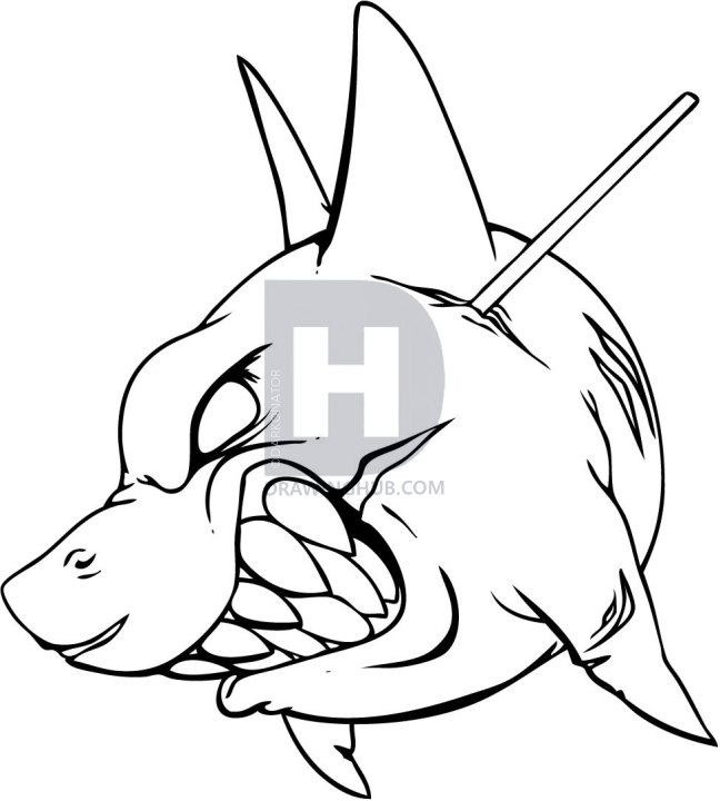 648x720 How To Draw A Shark Tattoo, Step