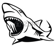 236x205 best shark drawings images shark drawing, sharks, shark painting