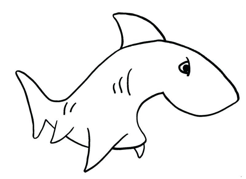 Cool Shark Drawings | Free download on ClipArtMag