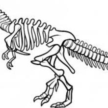 220x220 How To Draw How To Draw A Dinosaur Skeleton, Dinosaur Skeleton