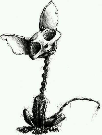 400x528 Skeleton Cat Ja Creepy Drawings, Drawings, Art