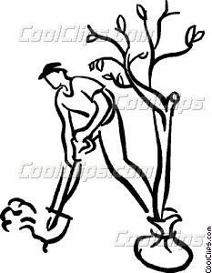 233x300 Man Planting A Tree Vector Clip Art