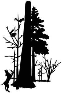 201x300 Squirrel Hunting Decal