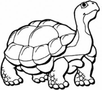 360x318 Easy Drawings Easy To Do And All Done Step