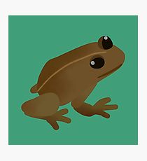 210x230 coqui drawing photographic prints redbubble