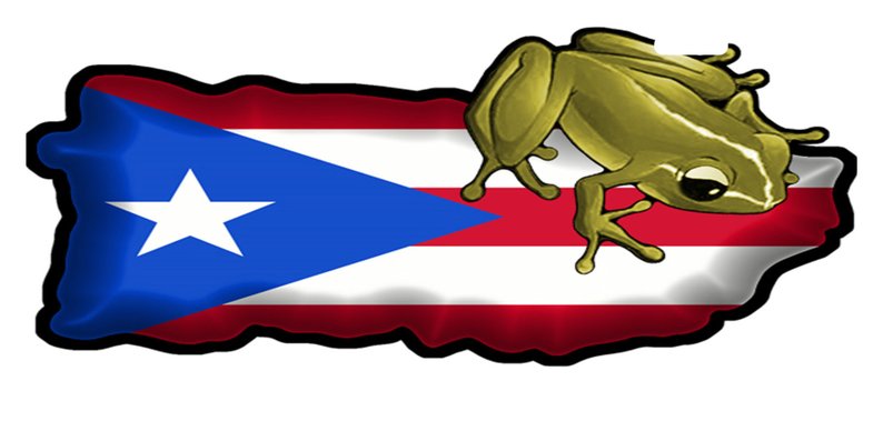 6. Puerto Rican Flag Tattoo with Coqui - wide 2
