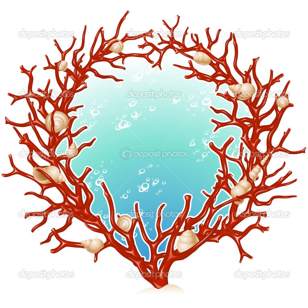 1024x1024 Red Coral Frame Stock Vector D E N I S
