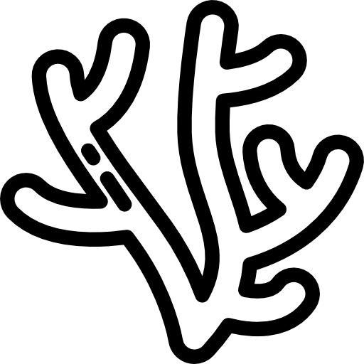 512x512 Collection Of Free Coral Drawing Line Download On Ui Ex