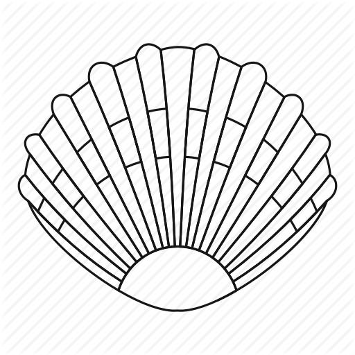 512x512 Collection Of Free Coral Drawing Seashell Download On Ui Ex