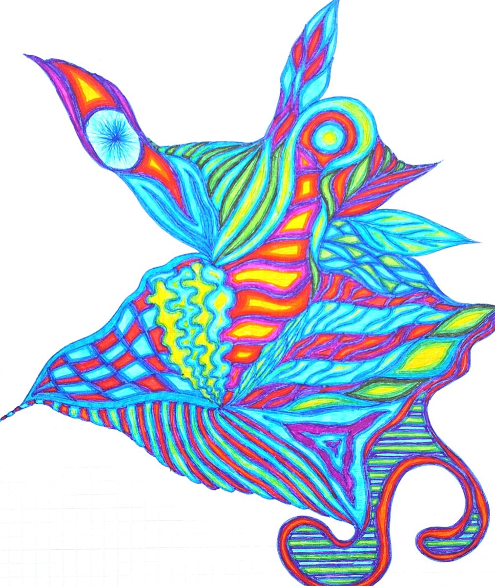 1014x1200 Fantastic Coral Colours Drawing