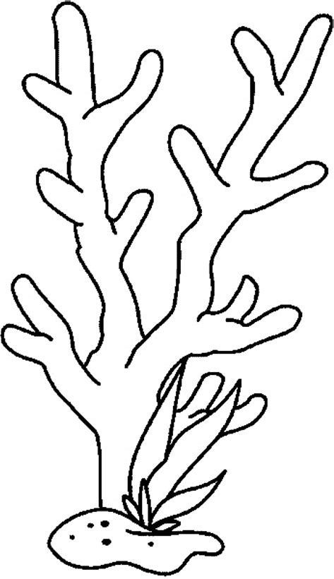 473x820 image result for simple coral reef coloring pages ocean coral