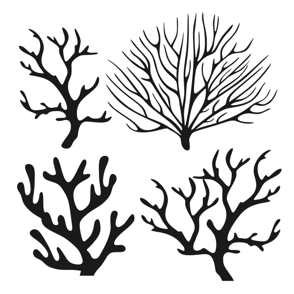 600x600 Seaweed Drawing Realistic For Free Download