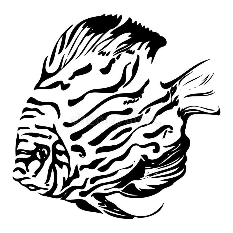 800x800 Collection Of Free Reef Clipart Black And White Amusement