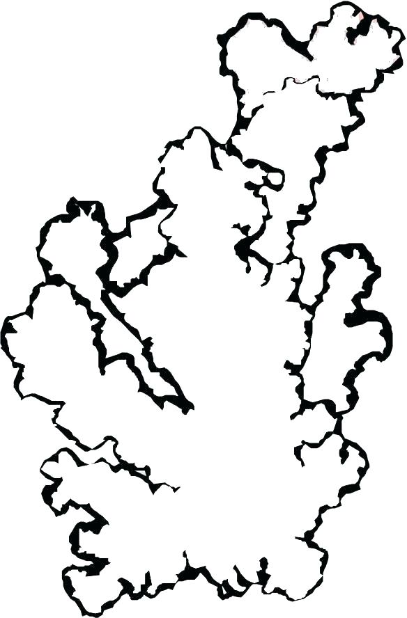 584x888 Coral Reef Coloring