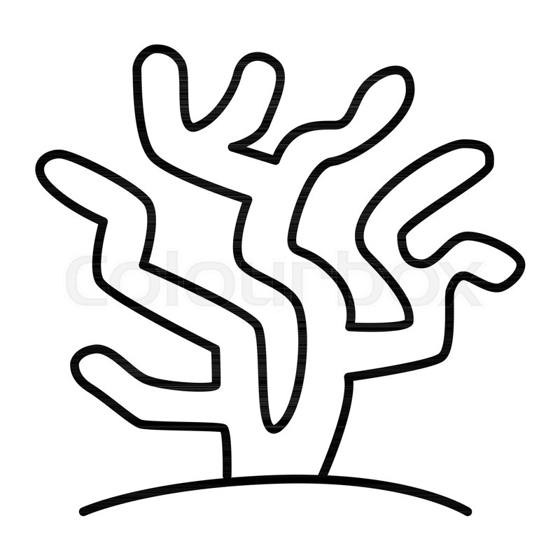 800x800 Coral Thin Line Icon Seaweed Vector Stock Vector Colourbox