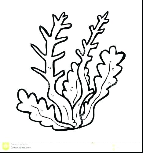 468x500 Coral Fish Coloring Pages Reef Ecosystem Jafevopusi Top