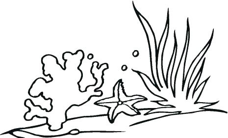 465x281 Coral Reef Coloring Pages Labeled