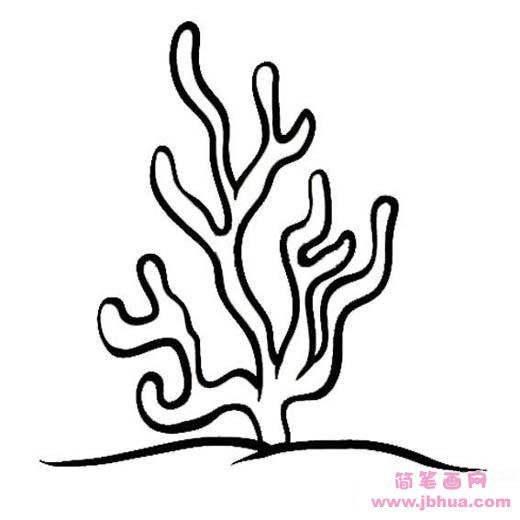 520x520 Coral Reef Drawing Line