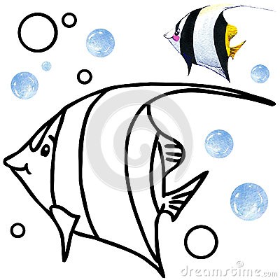 400x400 Coral Reef Fish Drawing