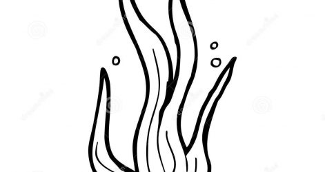 471x250 sea coral reef ocean drawing plants animals cartoon ajedrezdeen