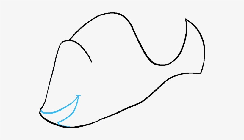 820x471 How To Draw Dory