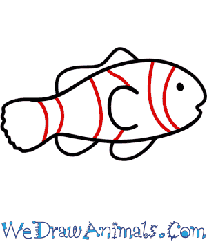 300x350 How To Draw A Clownfish