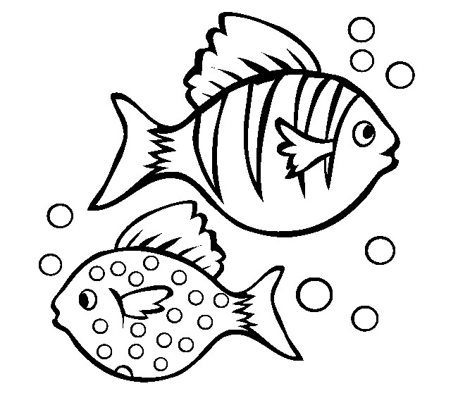 650x565 fish templates free premium templates