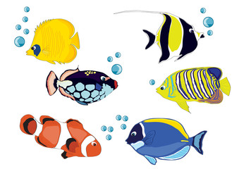 339x240 Drawing Fishes, Illustration, Fish Crown, Yellow Fish, Blue Fish