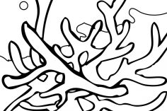 236x157 Coral Reef Drawing Realistic Turtle Pencil Step Easy Animals