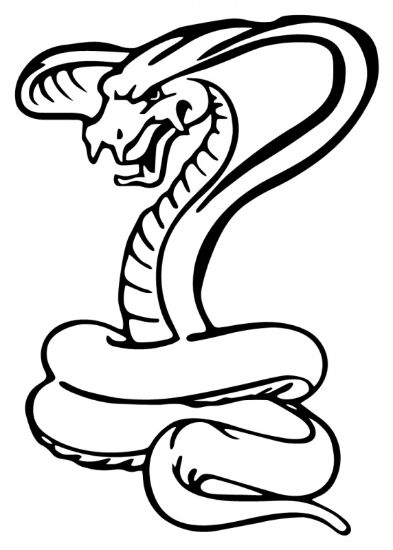 572x800 snake clipart, suggestions for snake clipart, download snake clipart