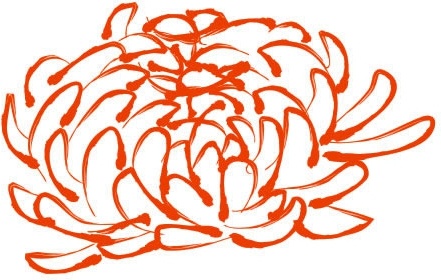 441x280 peony drawing colored handdrawn sketch free vector in coreldraw