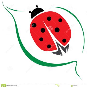 336x336 big anime drawings bug beetle little corel draw city ladybug cute