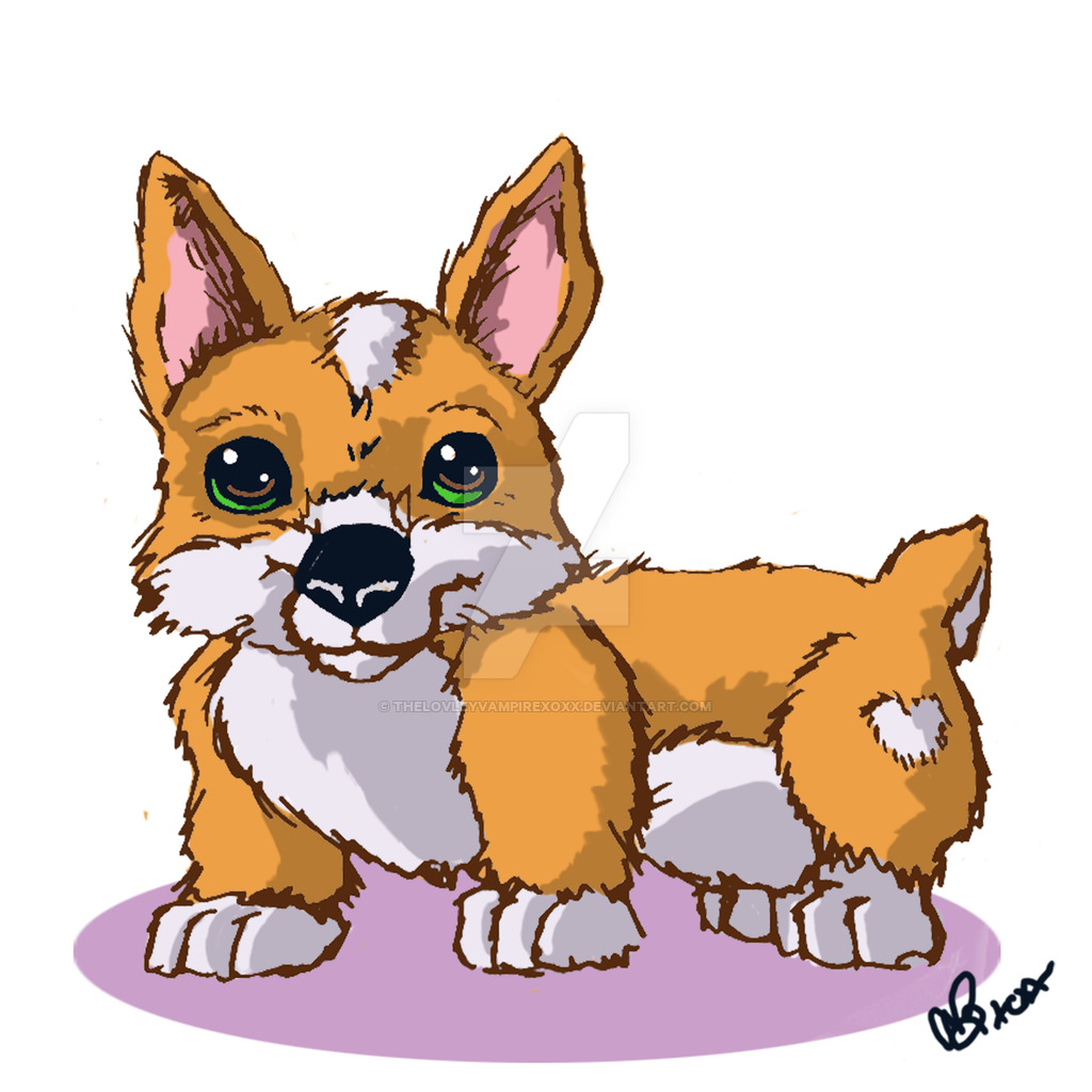1024x1024 Corgi Puppy Drawing