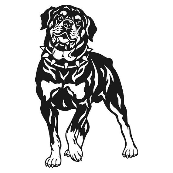 570x570 Corgi Drawing Free Download